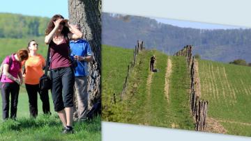 turistika Dobrá Niva - Babiná turistika Dobrá Niva - Babiná
